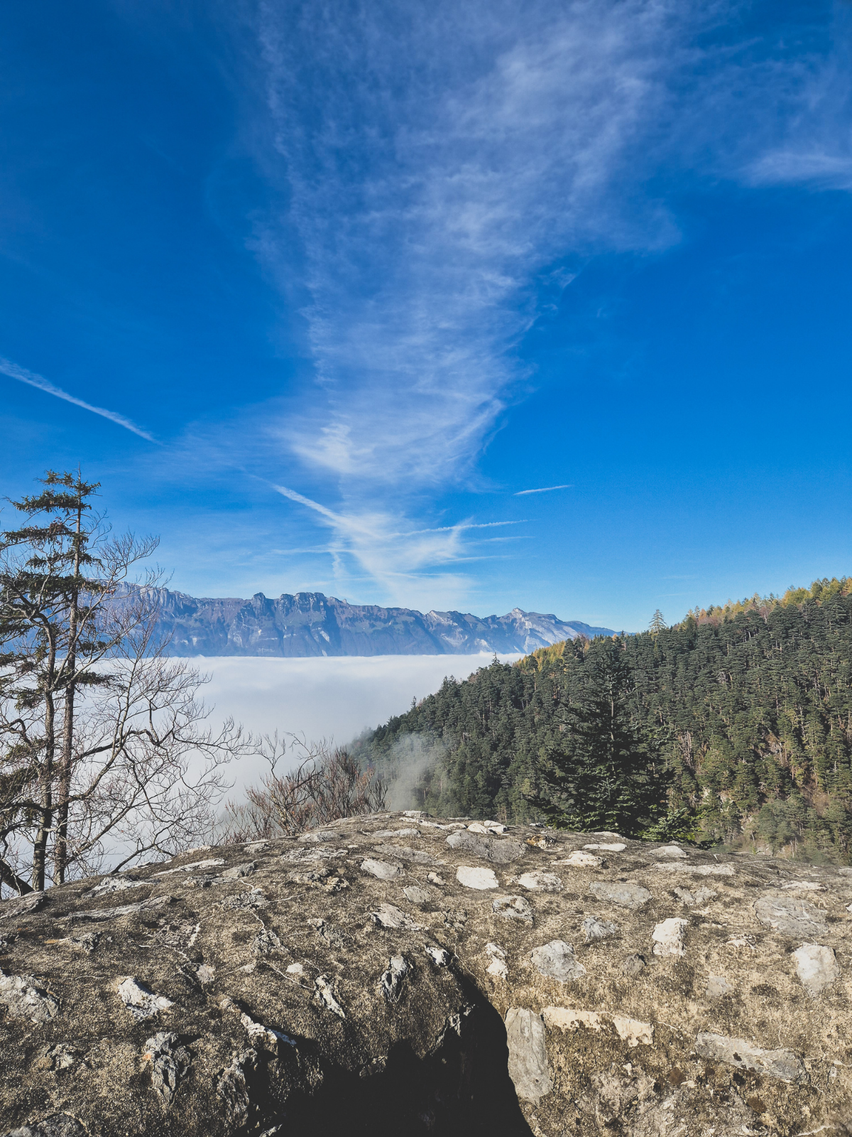 A rocky alpine viewpoint in Liechtenstein looking out over a sea of white cloud, pine forest, and jagged mountain peaks under a vivid blue sky.