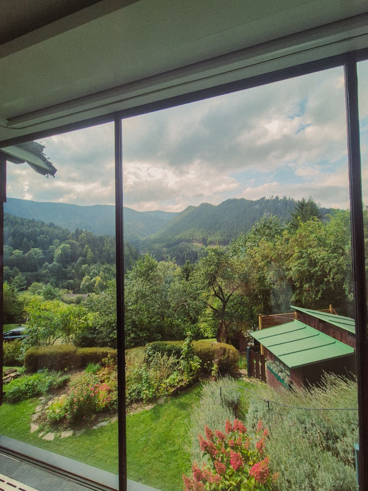A lush Austrian alpine valley framed through a floor-to-ceiling window, dense forest and rolling hills disappearing into summer cloud.