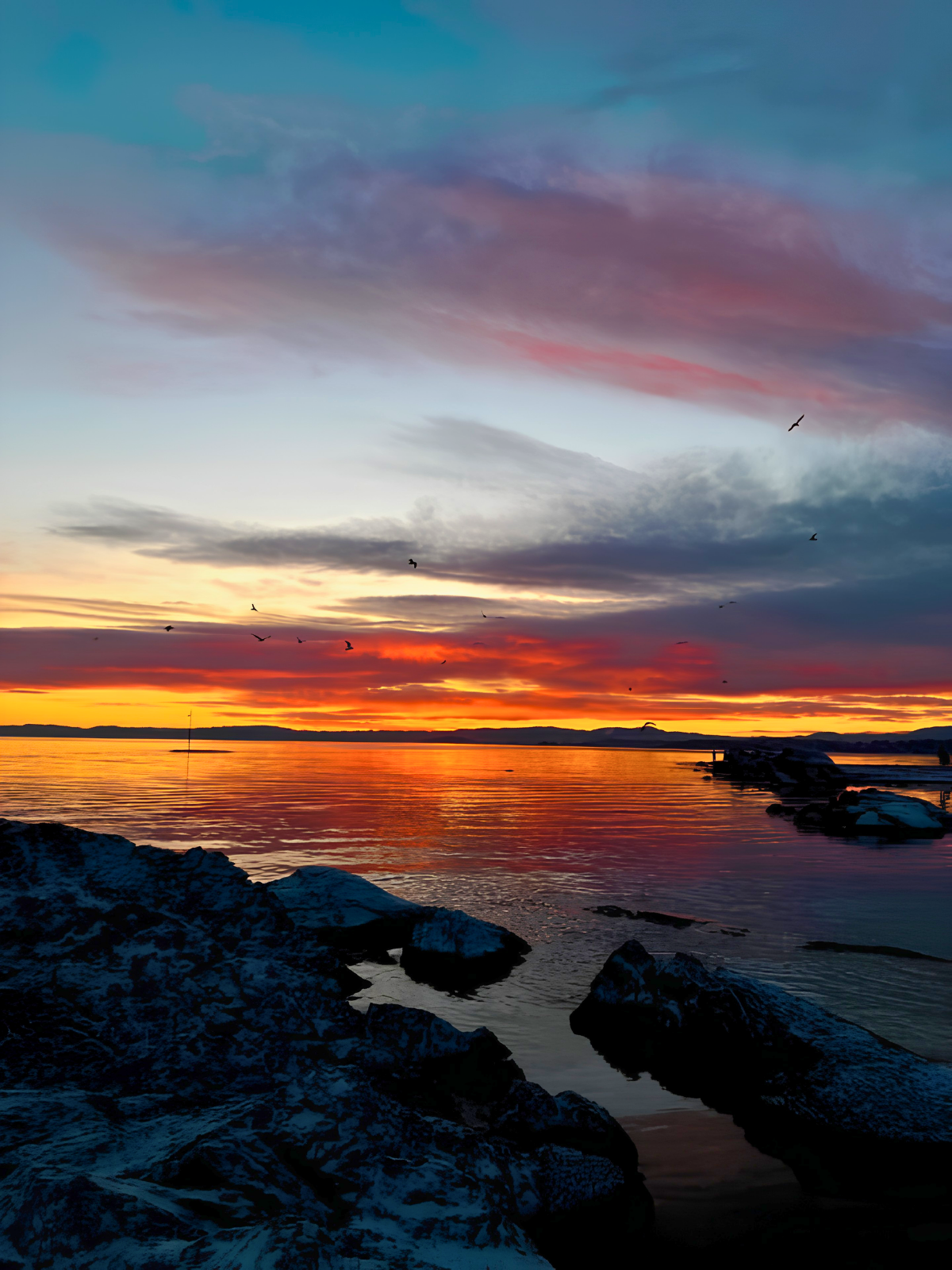 An extraordinary red and orange sunset blazing over the Oslofjord, birds scattered across the sky, dark rocks in the foreground dusted with snow.