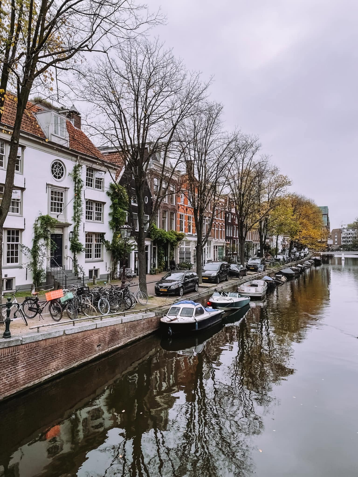 A quiet Amsterdam canal in late autumn, bare-branched trees lining the water's edge, bicycles and small boats moored alongside elegant Dutch canal houses.