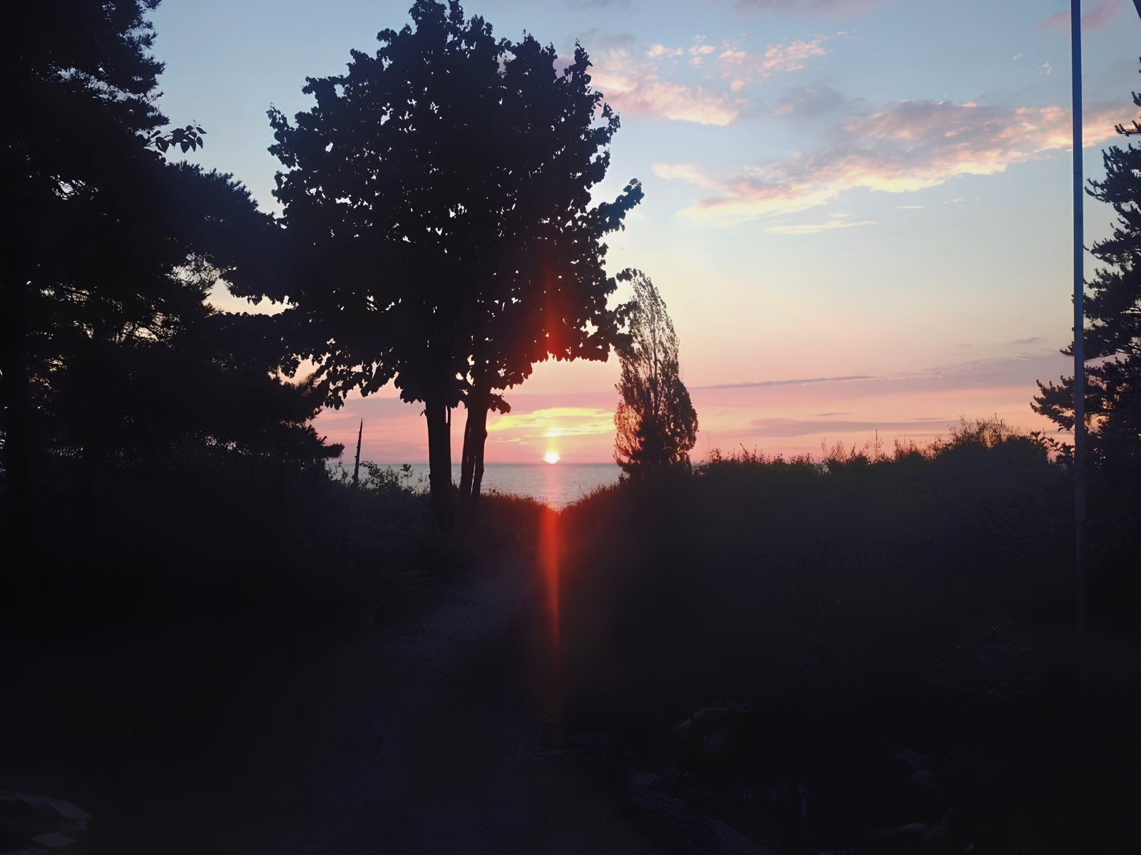 The last sliver of sun disappearing below Lake Huron at Grand Bend, silhouetted trees framing a soft pink and purple dusk sky.
