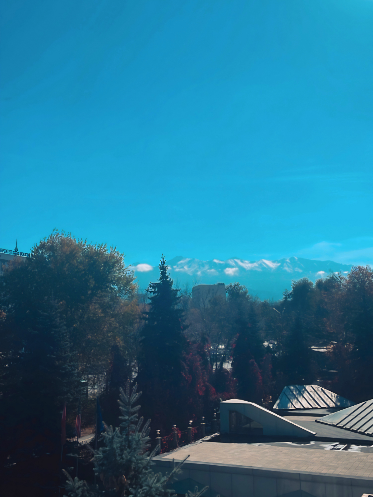 Almaty's autumn treetops in red and gold under an impossibly blue sky, the snow-capped Tian Shan mountains barely visible through the haze.