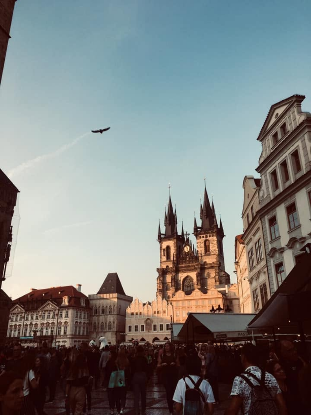 A bird flies above Prague's Old Town Square at sunset, with the spires of the Church of Our Lady before Týn glowing gold against a clear blue sky.